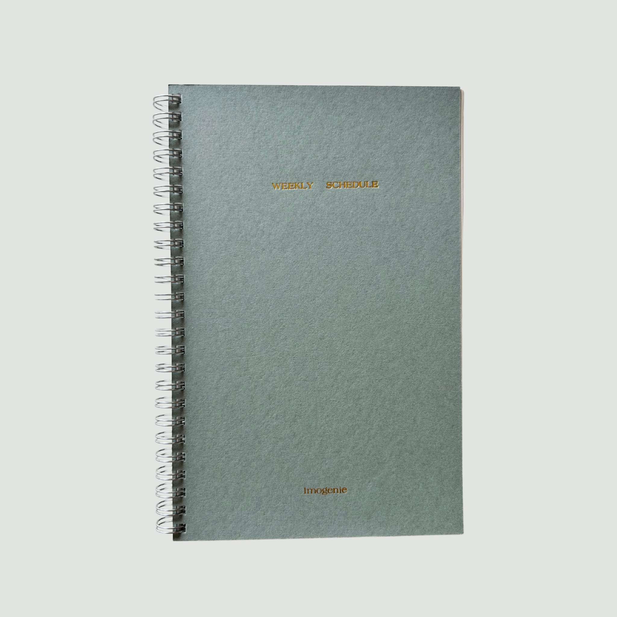 Lady Notebook in Moon