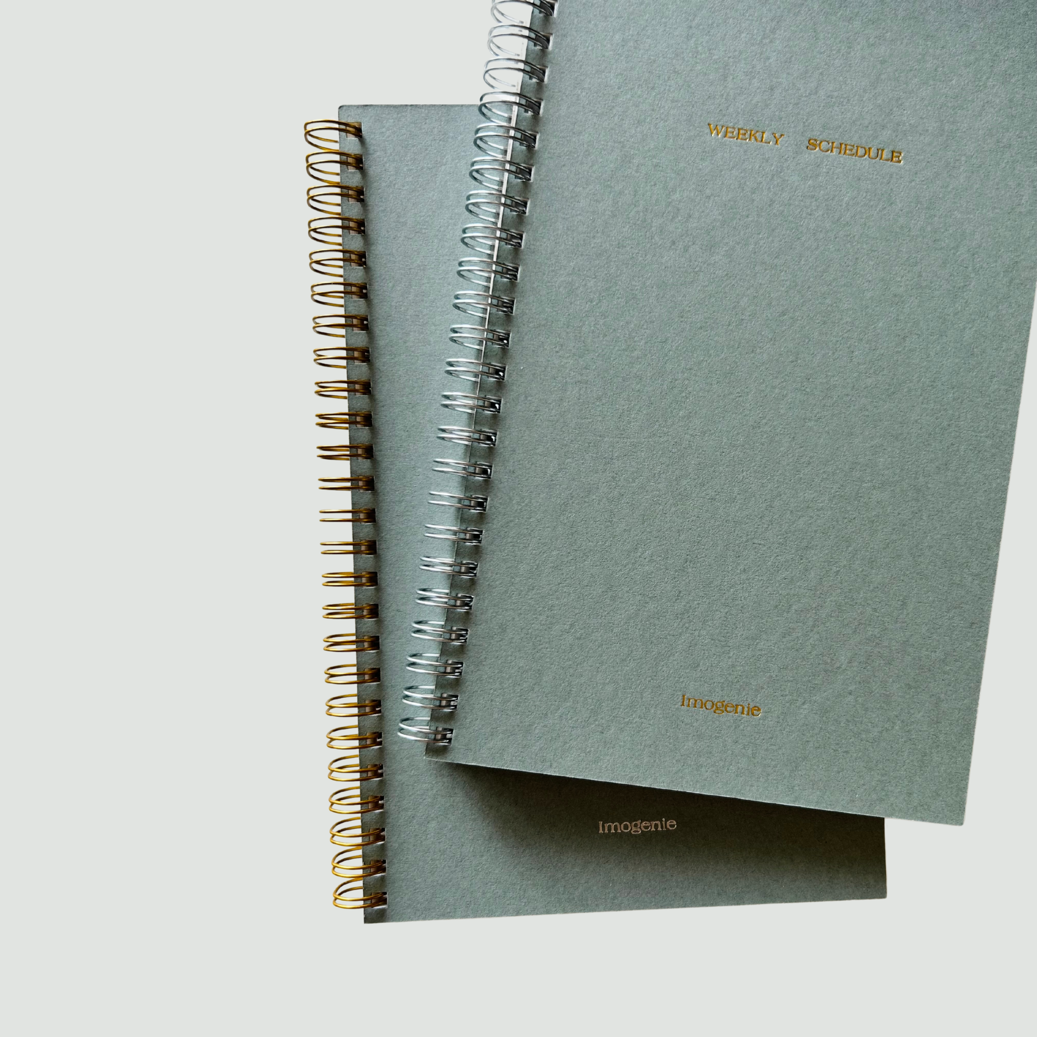 Lady Notebook in Moon