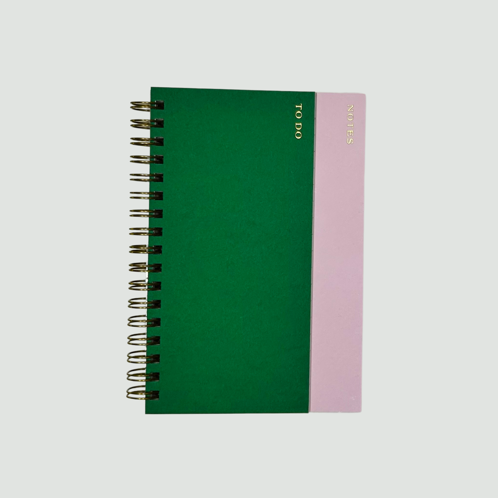Polly Notebook