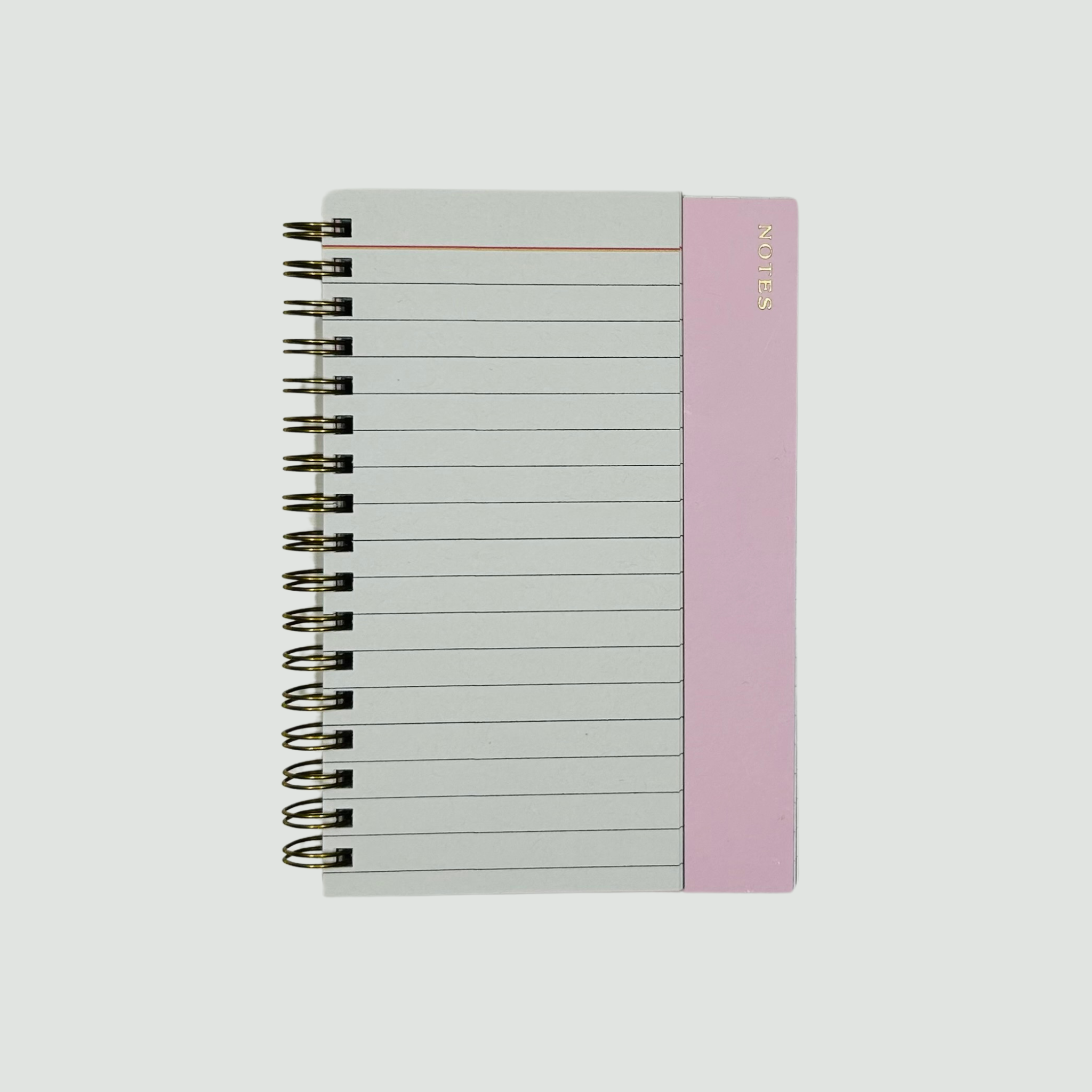 Polly Notebook