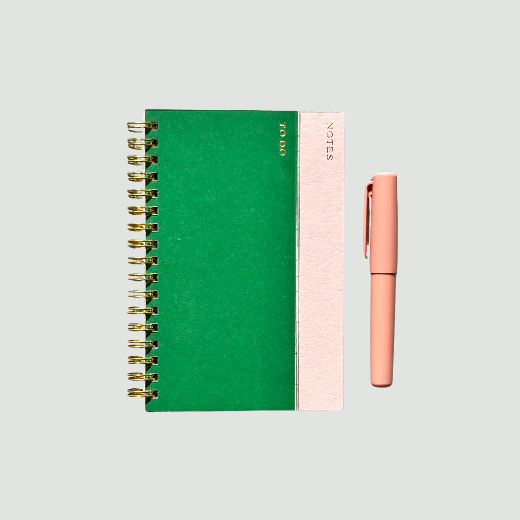 Polly Notebook