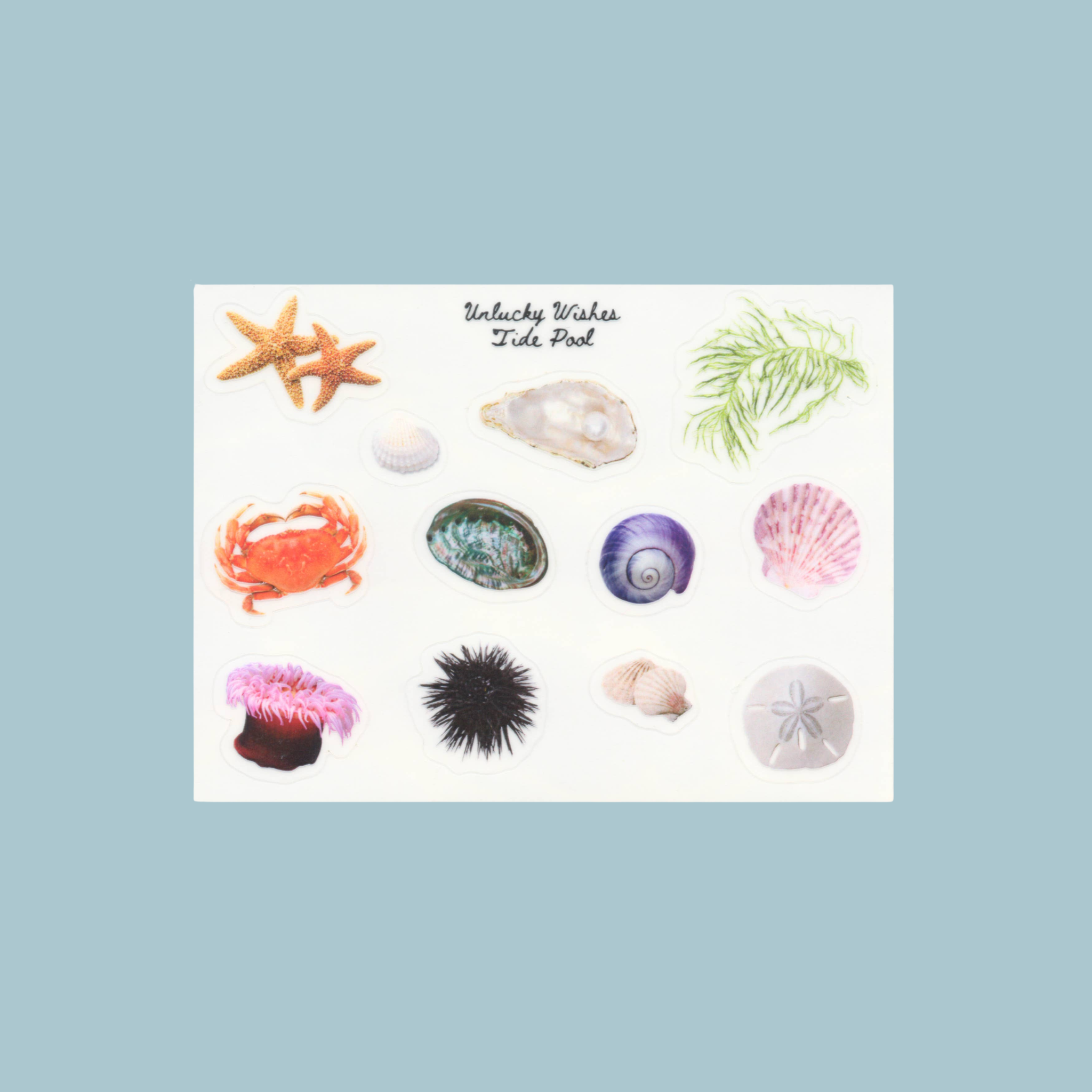 Tide Pool Sticker Sheet