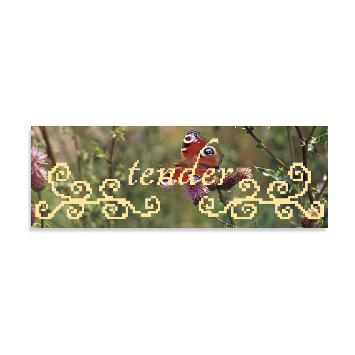 Tender Butterfly Bumper Sticker